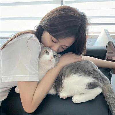搅局专家